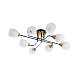 Потолочная люстра Arte Lamp ANDREA A8141PL-8BK
