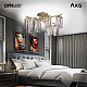 Потолочная люстра Citilux Axis CL313283