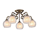Потолочная люстра Arte Lamp A7062PL-5AB