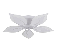 Потолочная люстра Natali Kovaltseva Sirius LED LAMPS 81160