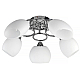 Потолочная люстра Toplight Madalyn TL2650X-05CH