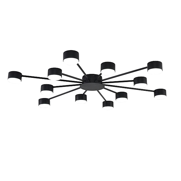 Люстра Lumion COMFI 8344/12C