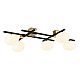 Потолочный светильник Ambrella light High Light LH51015