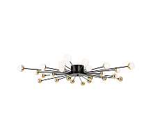 Потолочная люстра Freya Celebrity FR5242CL-24B