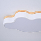 Потолочная люстра ImperiumLoft Cloud Eco 189500-26