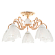 Потолочная люстра MyFar Nicole MR1661-5C