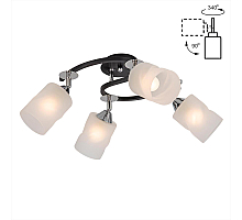 Потолочная люстра Citilux Сиерра CL119241