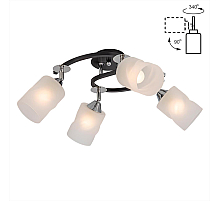 Потолочная люстра Citilux Сиерра CL119241