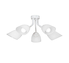 Потолочная люстра Vitaluce V3184/5PL