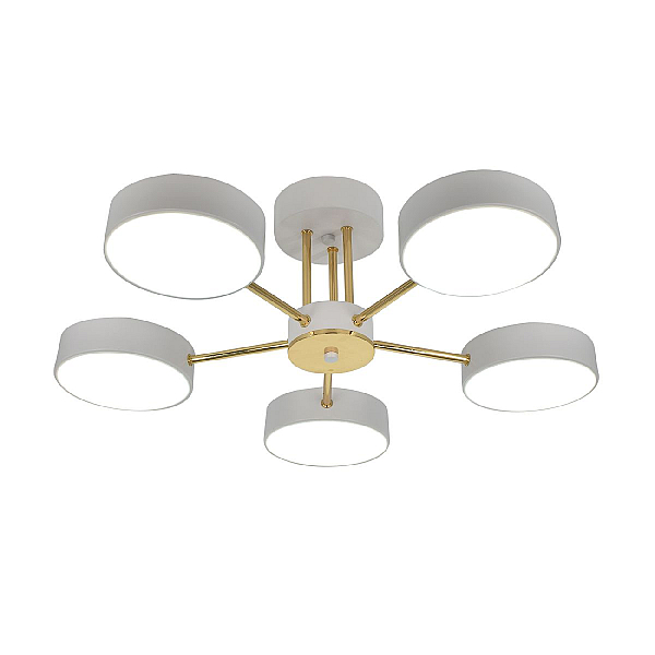 Потолочная светодиодная люстра Escada Rune 10262/5LED