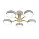 Потолочная светодиодная люстра Escada Rune 10262/5LED