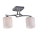 Потолочная люстра Omnilux Pisticci OML-55307-02