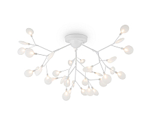 Потолочная люстра Freya Florencia FR5049CL-36W1