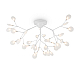Потолочная люстра Freya Florencia FR5049CL-36W1