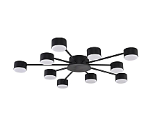 Потолочная люстра Lumion Comfi Torina 8344/10C