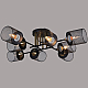 Потолочная люстра Reluce 38460-0.3-08 BK+COPPER