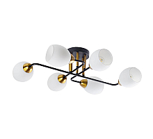 Потолочная люстра Arte Lamp Andrea A8141PL-6BK