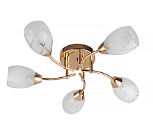 Потолочная люстра Toplight Lucy TL7120X-05FG