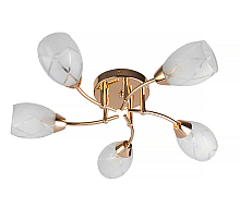 Потолочная люстра Toplight Lucy TL7120X-05FG