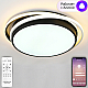 Потолочная люстра Natali Kovaltseva East LED SMART 84002