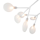 Потолочная люстра Freya Florencia FR5049CL-27W2