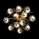 Потолочная люстра Loft IT Bloom 10352/800C AB