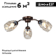 Потолочная люстра Vitaluce V4929-7/3PL