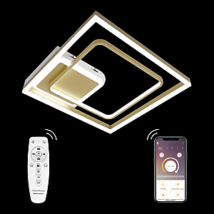 Потолочная люстра Natali Kovaltseva LED LAMPS 81309