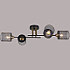 Потолочная люстра Reluce 38460-0.3-04 BK+COPPER