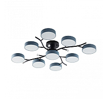 Потолочная люстра Arte Milano Ferrara 256606/8+1 Bk/Gr