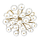 Потолочная люстра Loft IT Bloom 10352/1000C AB