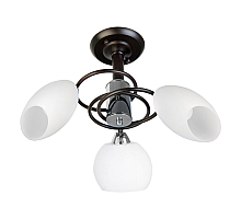 Потолочная люстра Toplight Marianna TL2660X-03WC