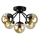 Потолочная люстра Arte Lamp A1664PL-5BK