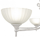Потолочная люстра Arte Milano 340049/6 WT+SL