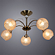 Потолочная люстра Arte Lamp Willow A3461PL-5AB