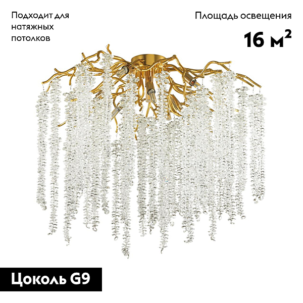 Потолочная люстра Odeon Light Hall Banche 5005/8C
