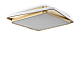 Потолочная люстра Freya Yaku FR10026CL-L93G