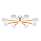 Потолочные люстры Arte Lamp Tenda A1624PL-8WH