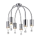Потолочная люстра Vele Luce Pioggia VL4283L06