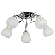 Потолочная люстра Toplight Alexia TL3640X-05CH
