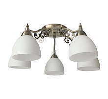 Потолочная люстра Toplight Lora TL7371X-05AB