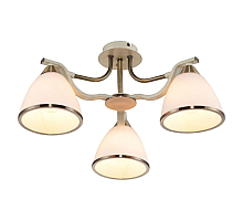 Потолочная люстра Toplight Sheena TL3670X-03AB
