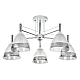 Потолочная люстра Arte Lamp Fiamma A3521PL-5CC