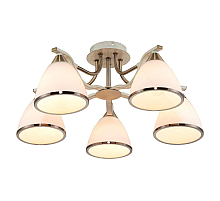 Потолочная люстра Toplight Sheena TL3670X-05AB