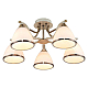 Потолочная люстра Toplight Sheena TL3670X-05AB