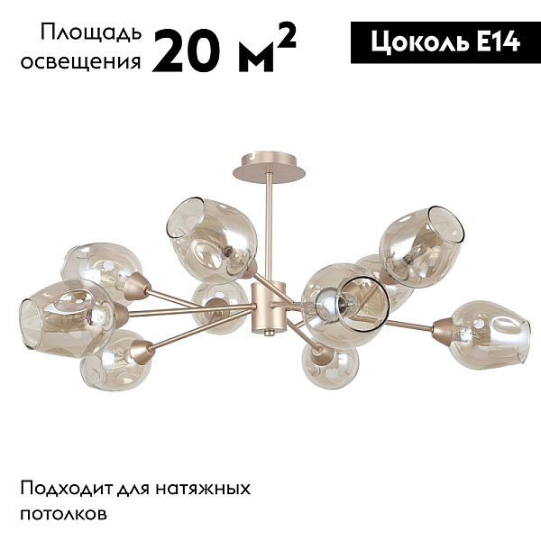 Потолочная люстра F-Promo 2658-10U