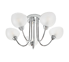 Потолочная люстра MyFar Ekaterina MR1291-5C