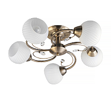 Потолочная люстра Toplight Beryl TL3540X-05AB