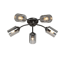 Потолочная люстра Vitaluce V2558-1/5PL