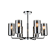 Потолочная люстра Vele Luce Licia VL1923L06